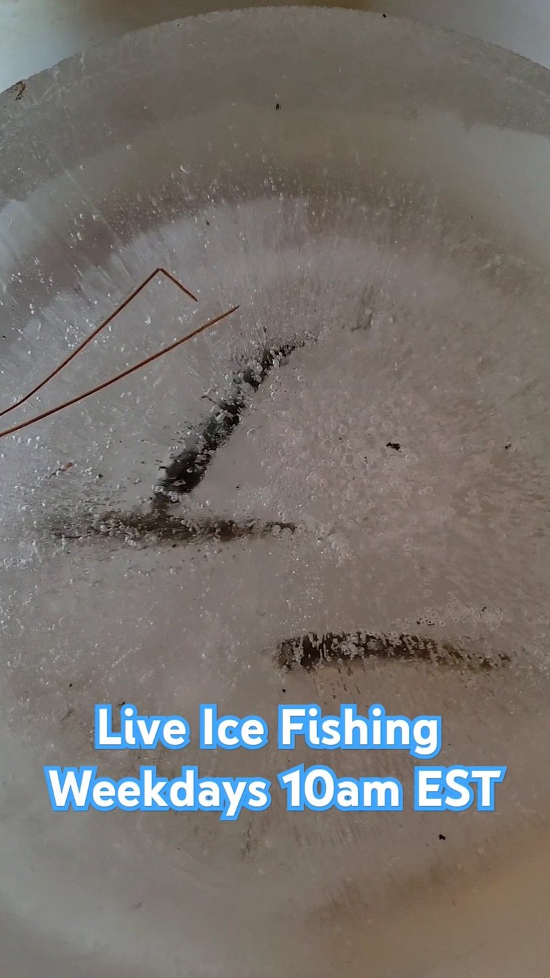 A look at ice fishing gamble game